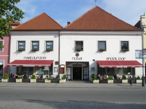 Hotel Český Dvůr - hotely, pensiony | hportal.cz
