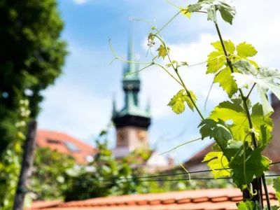  - Hotels, Pensionen | hportal.de