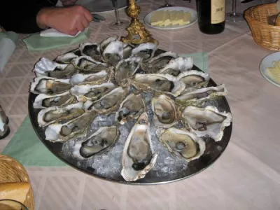  - Hotels, Pensionen | hportal.eu