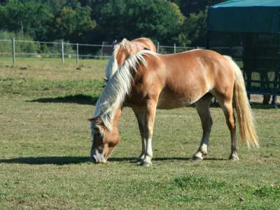  - hotely, pensiony | hportal.cz