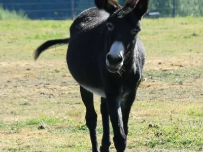  - hotely, pensiony | hportal.cz