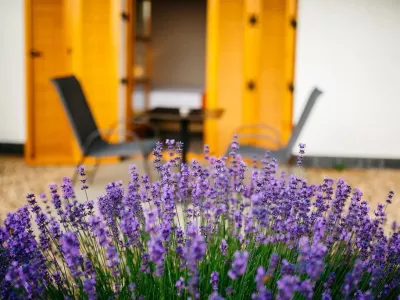  - Hotels, Pensionen | hportal.eu