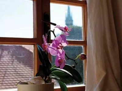  - Hotels, Pensionen | hportal.de