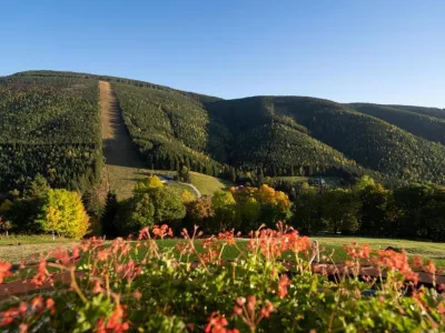  - Hotels, Pensionen | hportal.eu