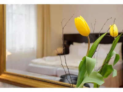  - Hotels, Pensionen | hportal.de