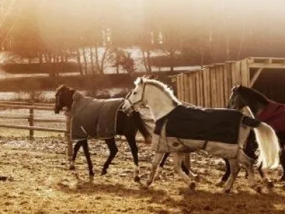  - hotely, pensiony | hportal.cz