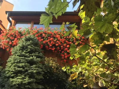  - hotely, pensiony | hportal.cz