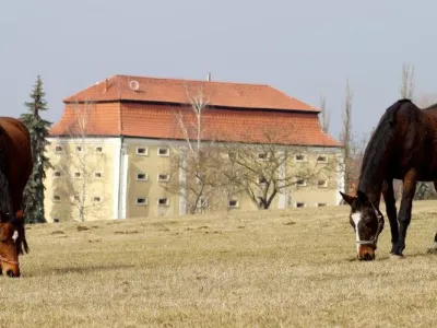  - hotely, pensiony | hportal.cz